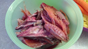 Уха из горбуши